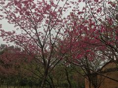 -福清灵石山国家森林公园