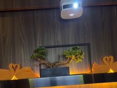 -江南足纪·影院足道·轻奢SPA(笋岗HALO广场店)