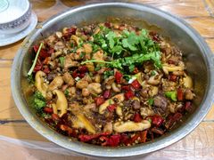 -食神又名厕所兔