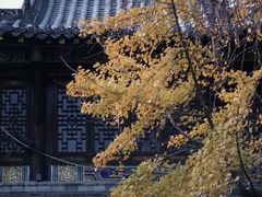 -长春观