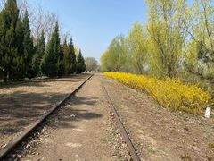 -永定河休闲森林公园