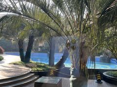 -上海浦东星河湾酒店