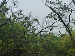 -上海吴淞炮台湾国家湿地公园