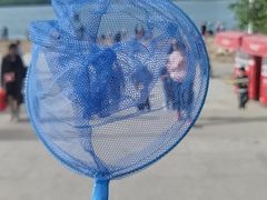 -天鹅湖体育公园