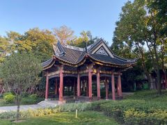 -顺峰山公园
