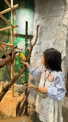 -Zoolung Zoolung动物主题公园(海信广场店)