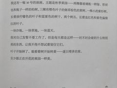 -十七英哩咖啡 Seventeen Mile Coffee(崇盛晶珠广场店)