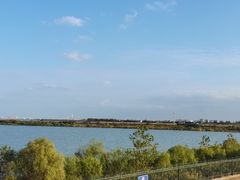 -江滩湿地公园