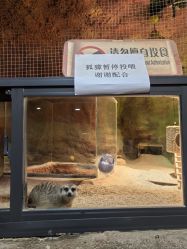 -酷嗒动物文化乐园(cutezoo西溪乐天城店)