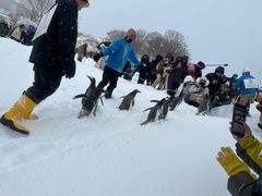 -北海道神宫