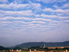 -光明小镇欢乐田园