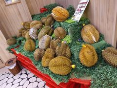 -百果园(大冲店)