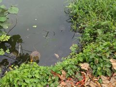 -南丫岛