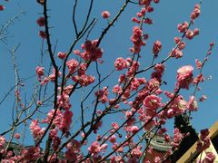 -梅龙镇广场