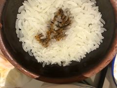 -丹虾|文和友小龙虾·烙锅(陕西路旗舰店)