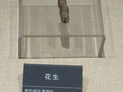-安徽省地质博物馆