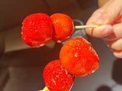 -麻六记(凤凰汇店)