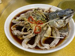 -煲来饱去冷水鱼