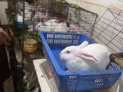 -米二红烧兔(华阳店)