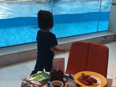 -帝企鹅自助餐厅•儿童岛•真企鹅(长隆企鹅酒店)