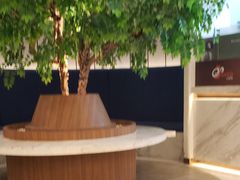 -CoCo都可(中联广场店)