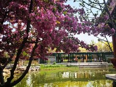 -西海子公园