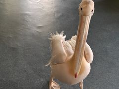 -海合安武汉极地海洋公园