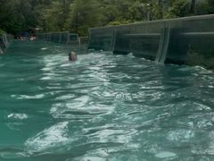 -花水湾第一村温泉大酒店