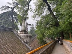 -潭柘寺景区