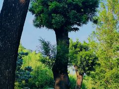 -国家植物园南园