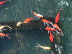 -新竹里馆·花园餐厅(兴苑路店)