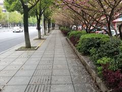 -祥盛隆羊汤馆(芙蓉店)