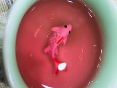 -古田会·肥肠鸡(古田店)