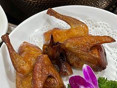 -鸽鸟轩(石岐店)