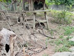 -宁波野生动物园