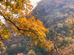 -北京鹫峰国家森林公园