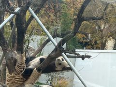 -无锡动物园·太湖欢乐园