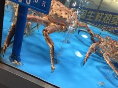 -麦德龙(郑东店)