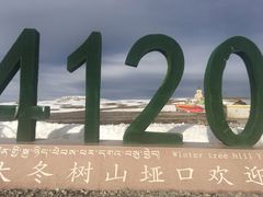 -大冬树山垭口