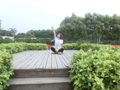 -广东花都香草世界旅游度假区