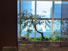 -海立阁海鲜江浙菜(漕河泾印象城店)