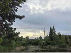 -江苏三台山国家森林公园