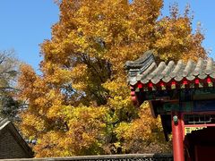 -承德避暑山庄景区