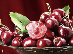 -麦德龙(嘉定店)