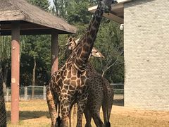 -石家庄市动物园