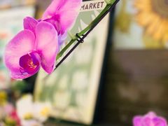 -Rabbit Cafe私房西餐甜点咖啡(栖霞路店)