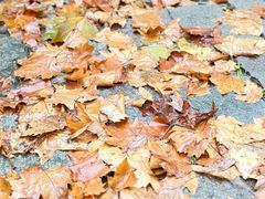 -苏州河梦清园环保主题公园