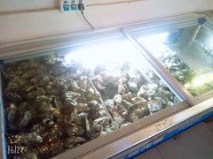 水产区-土蚝·高压锅生蚝(百姓美食街店)