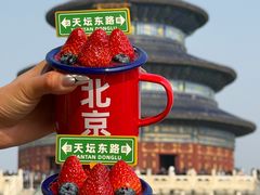 -味多美·北京面包工坊(天坛店)