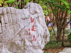 -金鸡湖桃花岛